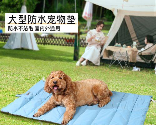为什么狗狗喜欢睡垫子（探究狗狗喜欢睡垫子的原因及其好处）