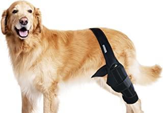 狗狗前腿扭伤处理指南（以宠物为主）