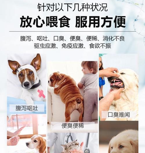 探究狗狗身上的细菌类型及对人类的影响（宠物养护必看）