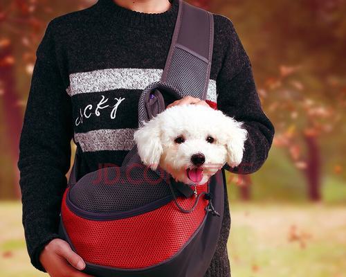 选择适合狗狗的背包，让它更自由舒适