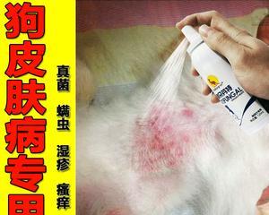 狗狗真菌皮肤病的治疗方法（了解真菌皮肤病症状及治疗药品推荐）