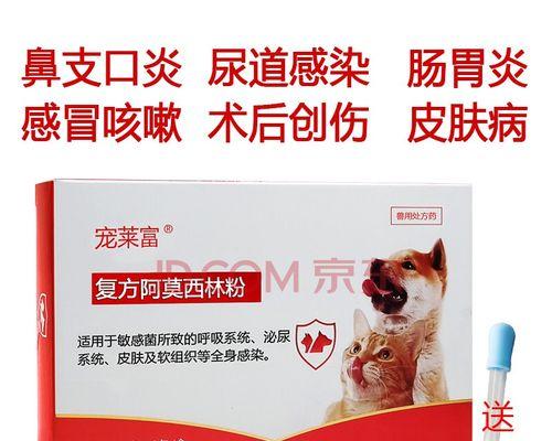 为宠物狗选择合适的消炎药（如何选择适用于狗的消炎药品）
