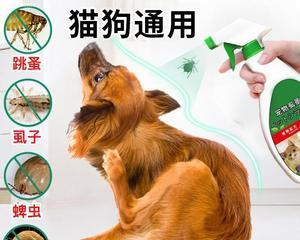 选择适合宠物的消炎药，做好宠物的健康守护（了解宠物的情况）