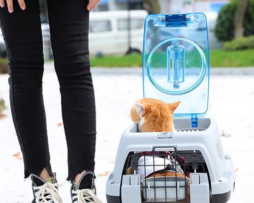 如何以空运方式将宠物猫咪送到机场（一步步操作）