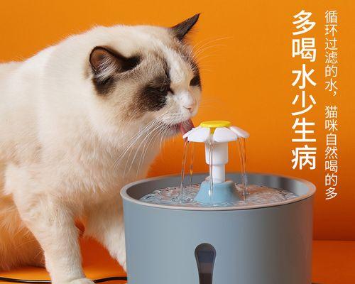 小猫喝水技巧大揭秘（以满月小猫为例）