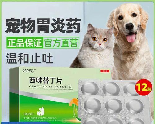 猫产后扎药物选择与使用（宠物猫产后恢复需要注意的药物治疗及护理方法）