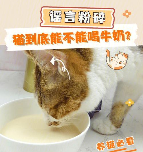 宠物猫为什么不能喝牛奶（了解猫咪喝牛奶的误区和危害）