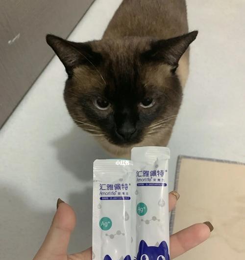 以猫营养膏为宠物健康关键（探讨猫营养膏的功效与使用方法）