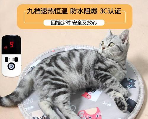 让宠物更舒适的生活——猫咪加热垫的使用方法（让猫咪享受温暖）