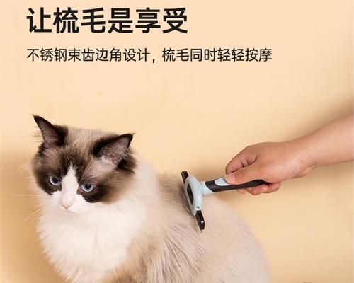 猫咪的美容养护秘籍——梳毛（宠物猫如何正确使用梳子梳理毛发）