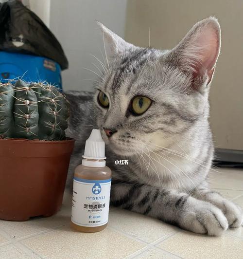 解密猫咪眼药物，宠物健康的必备知识（从不同角度看待猫咪眼药物）