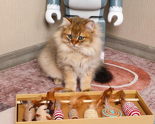 猫咪玩具的重要作用（如何选择适合宠物的玩具）