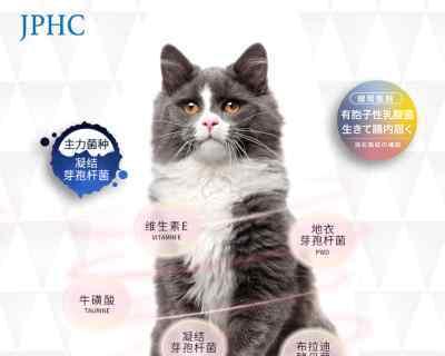 宠物猫夏季腹泻的应对方法（如何有效预防和治疗猫咪夏季腹泻）