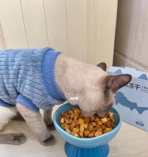 猫咪的小零食能否吃（宠物猫的饮食需求及小零食选择）