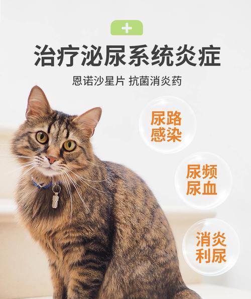 猫咪尿血的原因与治疗方法（探究猫咪尿血的症状和影响）