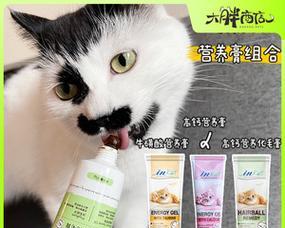 猫咪牛磺酸的正确用法（宠物健康保障）