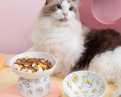 为什么猫咪会害怕猫粮（研究发现）