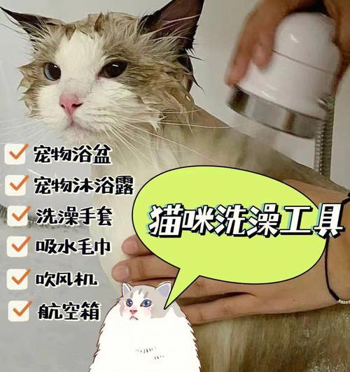 猫咪沐浴露的酸碱度对宠物健康的影响（了解猫咪肌肤的PH值）