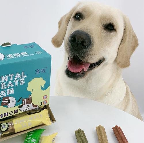 磨牙棒是否适合狗狗使用（探究磨牙棒的优缺点以及正确使用方法）