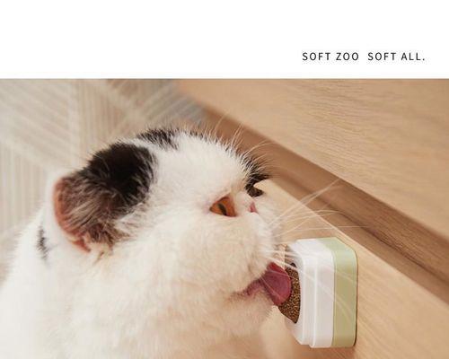 如何给宠物猫提供磨牙的选择（为了保持宠物健康）