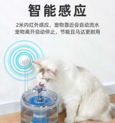 小猫不喝水怎么办（以宠物为主）