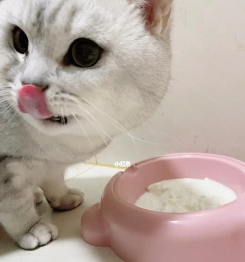 小猫拉肚子怎么办（酸奶或许是解决之道）