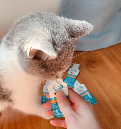 如何正确喂养宠物猫的化毛膏（了解化毛膏的成分和使用方法）