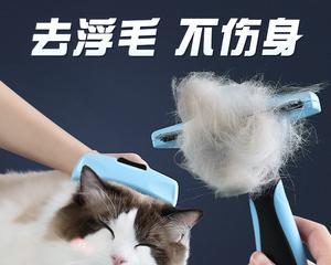 小猫脱毛抽搐原因分析与治疗方法（宠物养护中的常见问题与处理技巧）