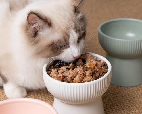 小猫咪猫粮喂养指南（如何科学合理地给宠物猫喂食）