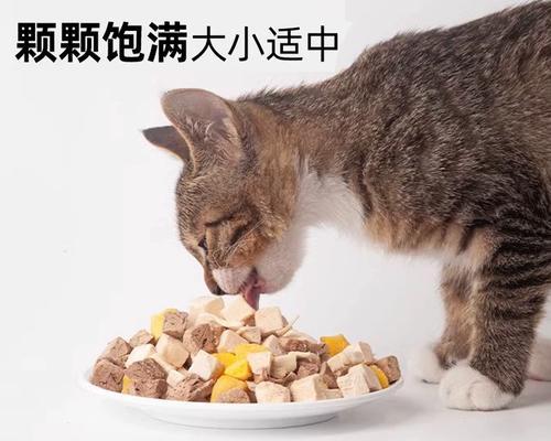 养宠物猫，幼猫零食吃什么好（宠爱小猫从小吃）