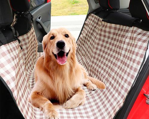 狗狗专用车，让宠物出行更方便（为爱宠设计的出行利器）