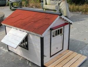 DIY狗屋，让爱宠有个舒适的家（如何给你的狗搭建一座漂亮的木屋）