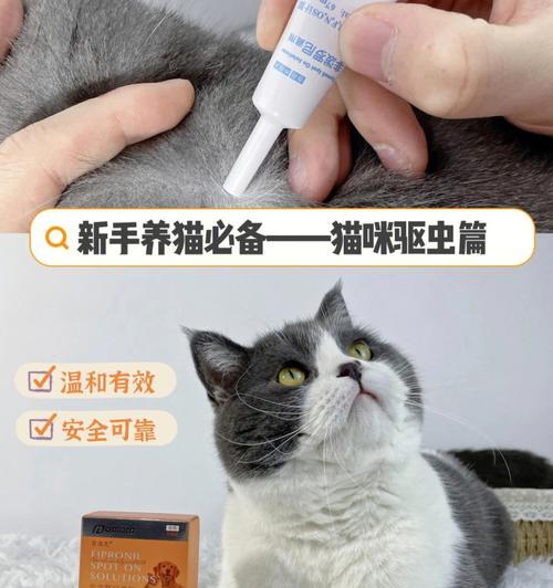 如何正确给宠物猫咪滴耳朵药（教你轻松应对猫咪耳朵问题）