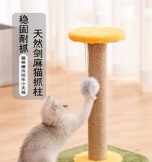 如何为你的宠物猫制作猫抓板（简单实用的DIY猫抓板教程）
