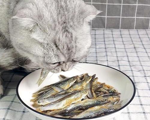 如何为宠物猫咪制作美味小鱼干（DIY小鱼干让猫咪爱上你的手艺）
