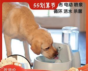 如何教育幼犬使用饮水器（一步步教育幼犬喝水）