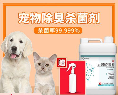 如何有效清洗宠物猫的尿液（清洗猫咪尿液的正确方法及注意事项）