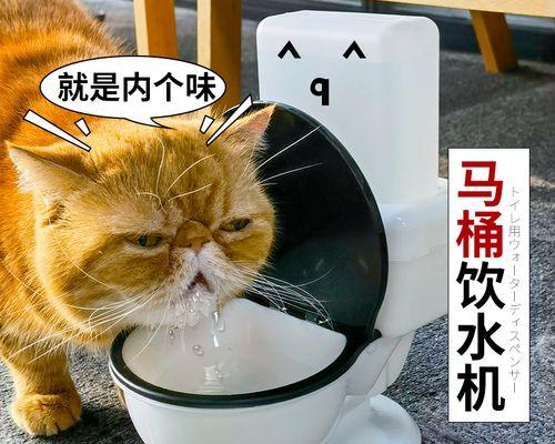让你的猫咪在马桶上拉屎，方法不难（从宠物到环保）