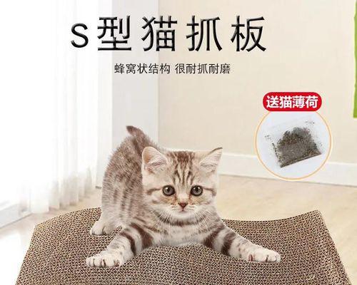 如何训练猫咪使用猫抓板（让宠物猫爱上猫抓板的小技巧）