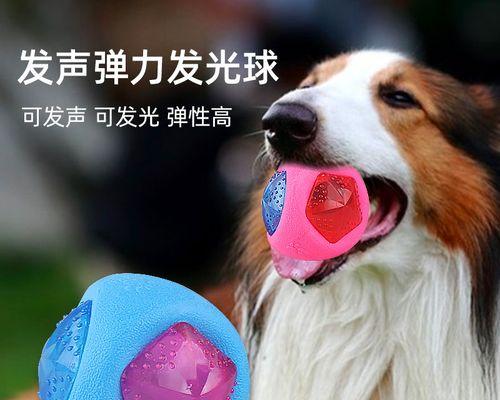 手工制作狗狗玩具球的简易教程（用儿时的袜子和狗狗的欢笑去重塑你们的默契关系）
