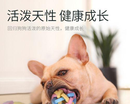 DIY狗狗玩具-让宠物生活更精彩（用简单材料打造属于你的宠物玩具）