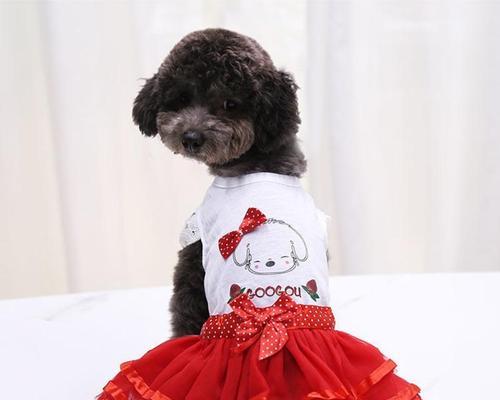 DIY狗狗公主裙，让你的宠物成为最可爱的公主（宠物服装）