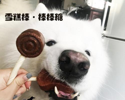 如何为宠物狗制作美味冰淇淋（健康营养又美味的狗狗冰淇淋）