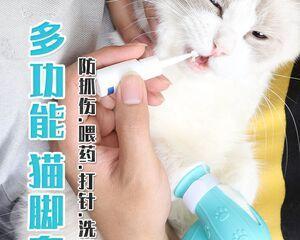 猫指甲发炎解决方法（宠物保健知识）