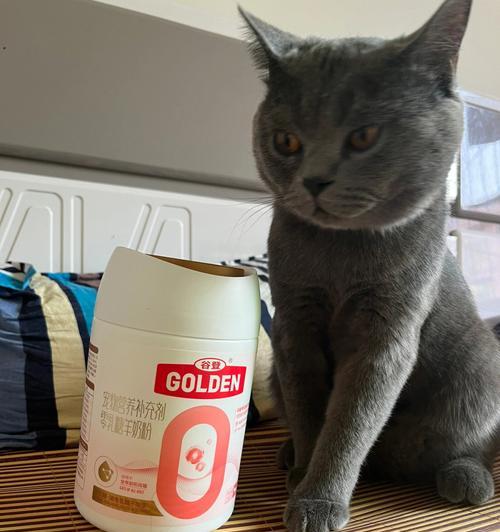 宠物猫咪能否喝奶粉（解析猫咪的食性特点及奶粉的适用性）