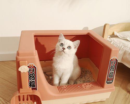 如何选择适合小猫的猫砂盆（宠物保健）