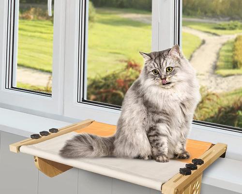 防止宠物猫咪爬窗户的方法（让你的宠物更加安全）