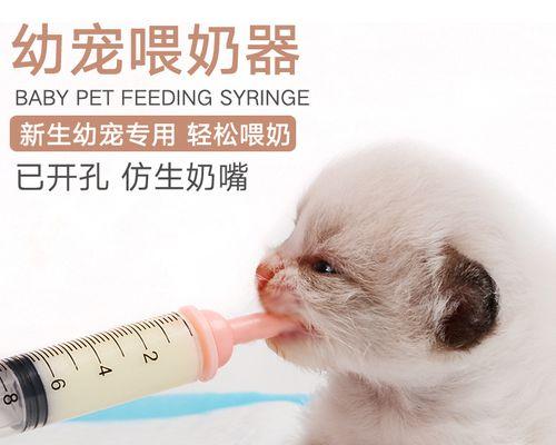如何科学喂养12个月幼猫（宠物猫喂养指南）