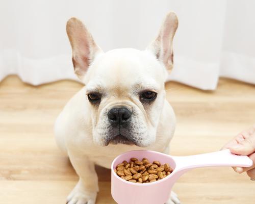 成年狗吃狗粮是否需要泡水（探究宠物狗饲养中的疑问）