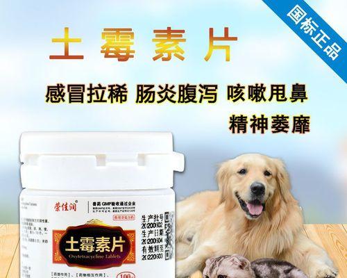宠物狗肠胃炎，如何选择药品（药品选择要点）
